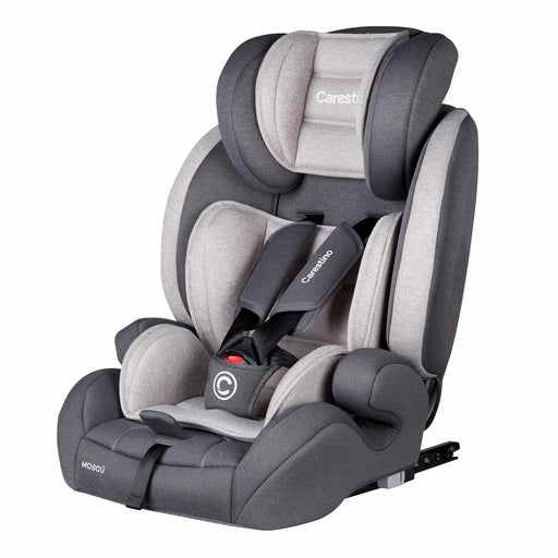 CARESTINO BUTACA VERONA